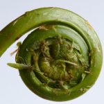 db电竞官网app:电竞爱好者的必备移动平台 282awc2