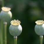 bet356在线登录网站的优惠活动与促销信息一览 35hv0al3