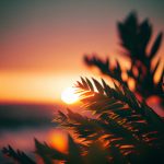 bwin博彩的安全性分析:如何保护个人信息与资金 g1s46qnxno