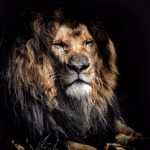 bob体育平台的优势:安全、便捷与多样化的选择 jjv2w2im