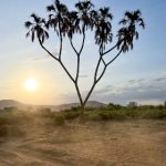 bf88平台的安全性分析:玩家如何保护个人信息 rw28lm