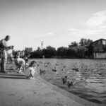 14场开奖123结果揭晓,最新中奖号码全公布 2d84n995