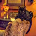 14场精彩赛事视频直播,全程高清流畅无卡顿 5jk5seak2