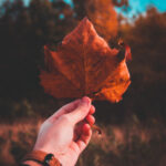 33774开奖结果最新公布,速看本期中奖号码详情 83gpllod