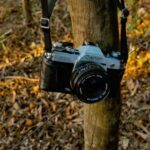 345开奖前后关联全解析:历史数据揭示中奖规律 8j3wtyg