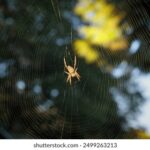 14胜负开奖结果最新公布与完整中奖号码查询 p7m6wwa