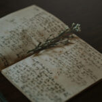 139期3D开奖结果揭晓,幸运号码震撼公布 rx067