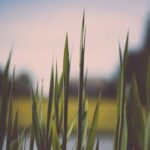 14169期足彩开奖结果揭晓:最新中奖号码与奖金分配详情 u9g6o